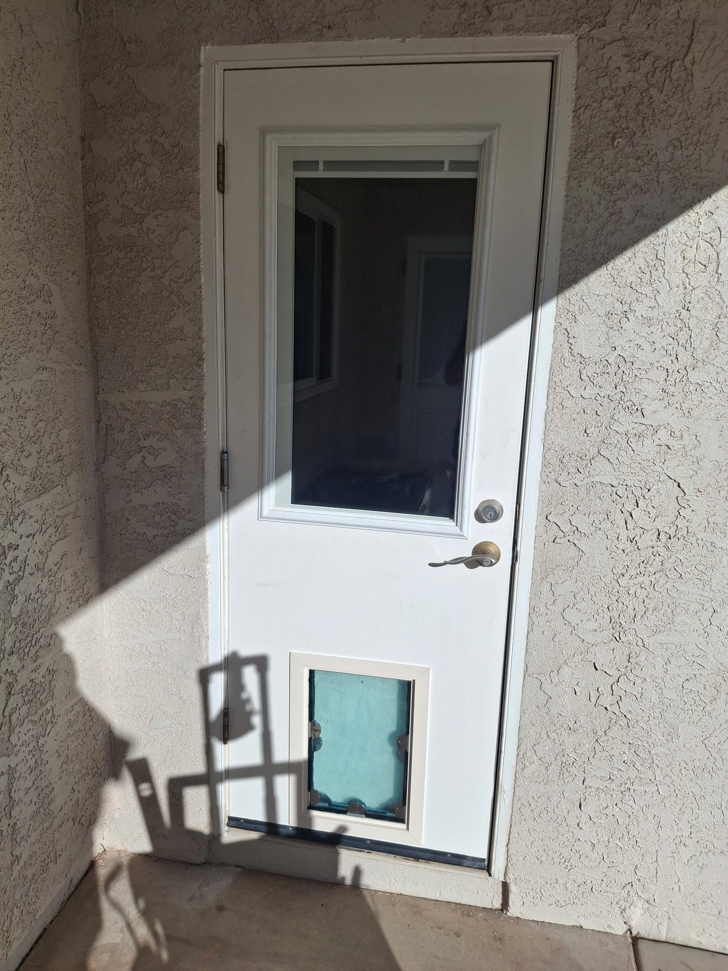 Door Model Pet Doors