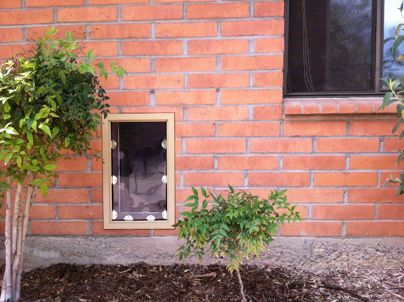 Wall Model Pet Doors