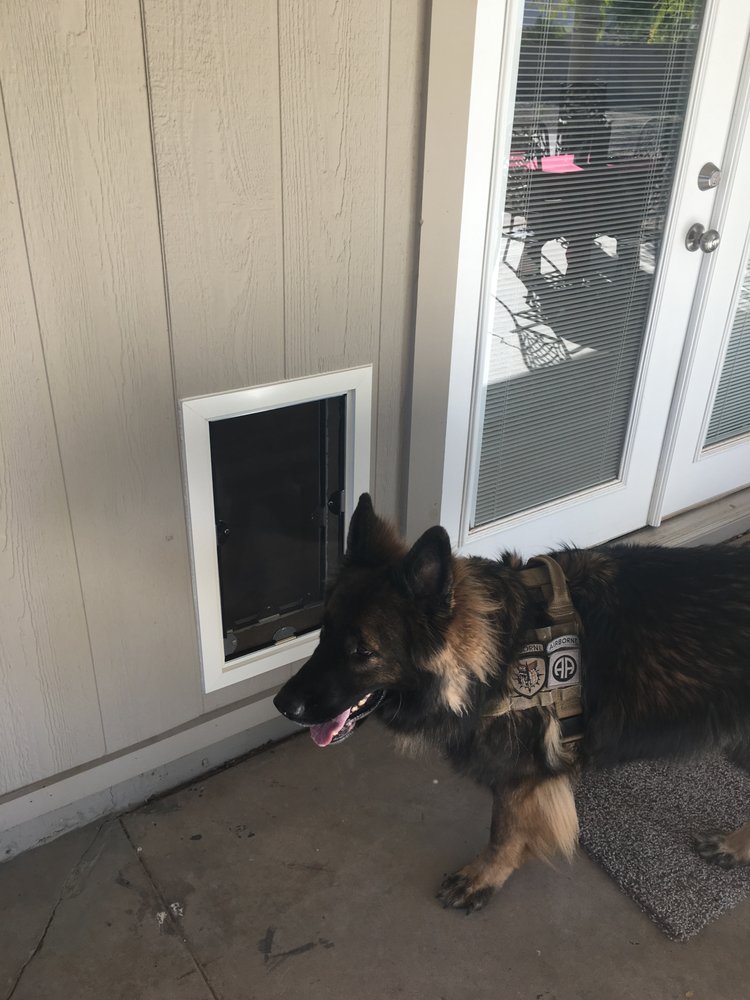 Wall Model Pet Doors